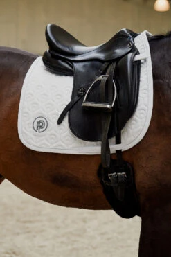 Eskadron Platinum Pure FS23 Highgloss Peacock Dressurschabracke 8 Eskadron Platinum Pure FS23 Highgloss Peacock Dressurschabracke -Reitsportprodukte Geschäft 345505 WH 01