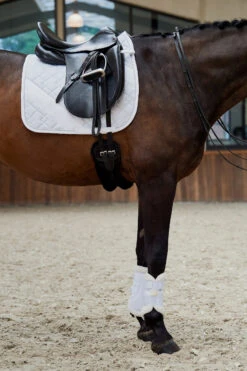 Eskadron Platinum Pure FS23 Glitter-Mesh Dressurschabracke 8 Eskadron Platinum Pure FS23 Glitter-Mesh Dressurschabracke -Reitsportprodukte Geschäft 345510 WH 01