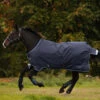 Horseware Amigo Bravo 12 Winterdecke, 250g -Reitsportprodukte Geschäft 922496 DB B BL 1