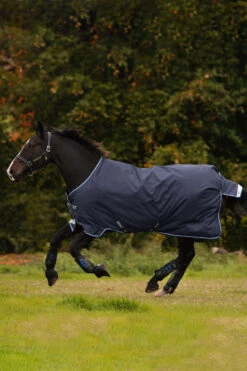 Horseware Amigo Bravo 12 Winterdecke, 250g