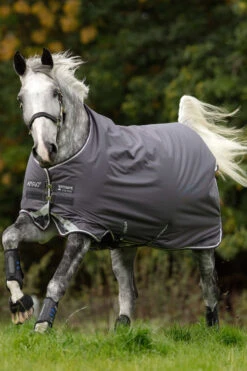 Horseware Amigo Bravo 12 Winterdecke, 250g -Reitsportprodukte Geschäft 922496 DG PRE WH 1