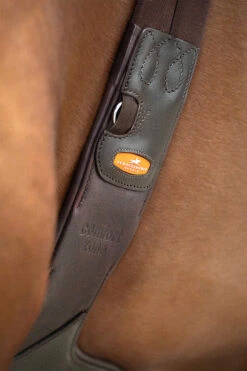 Schockemöhle Oklahoma Stollengurt -Reitsportprodukte Geschäft WPWG0 790 05