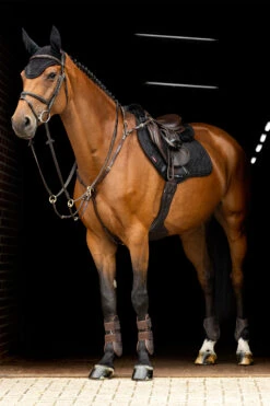 LeMieux Crystal Fliegenhaube 11 LeMieux Crystal Fliegenhaube -Reitsportprodukte Geschäft Z1KR0 099 02