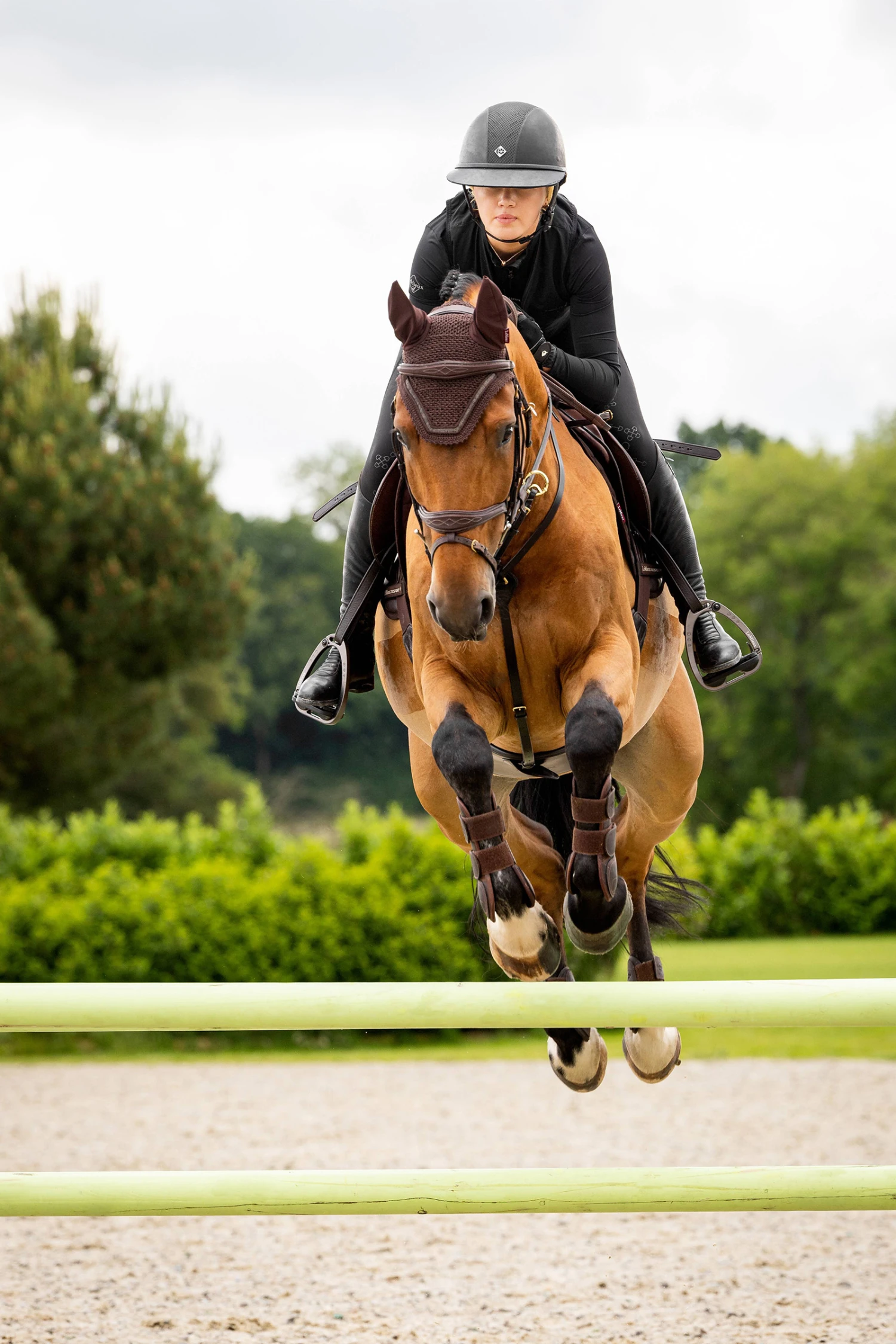 LeMieux Crystal Fliegenhaube 5 LeMieux Crystal Fliegenhaube – Bild 3